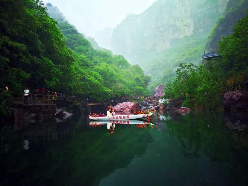 细胞分裂6